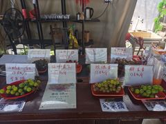 -马陆小张葡萄园农家乐