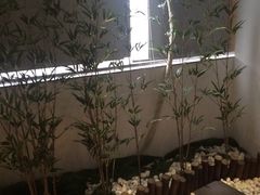 -锦初·禅意4K影院式足道·新中式SPA(茂业天地店)
