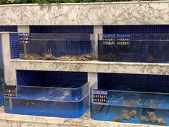 -香山湖渔家大院