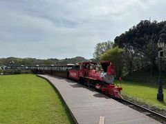 -济州森林小火车生态公园