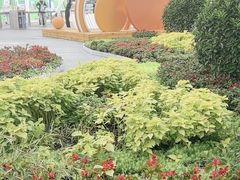 -大悦城(沈阳中街店)