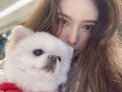 -怪兽屋·羊驼·猫咖·狗咖(俊华广场店)