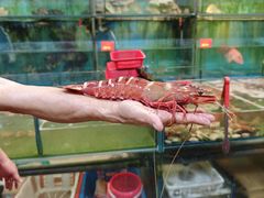 -大茄来海鲜餐厅(亚洲城分行)