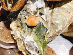 -旺角小渔村(幸福中路店)