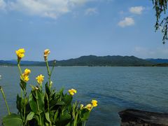 -东钱湖小普陀景区