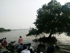 -宝安西湾红树林湿地公园