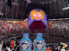 -俄罗斯国家大马戏团