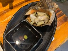 朝鲜海螺-丹东特色烤肉(学府路一部店)