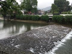 -知鱼轩