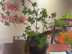 -香丰阁·烤鸭·川湘菜(清河店)
