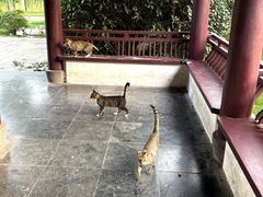 -云龙湖旅游景区