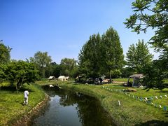 -圣露庄园·亲子活动乐园·露营·团建婚礼