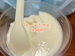 原味双皮奶-白色日记·手作酸奶(麦凯乐店)