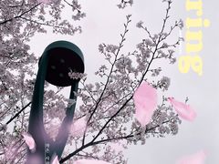 -梅龙湖