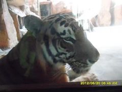 -鄂尔多斯野生动物园