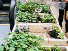 -卜蜂莲花(杨高南路店)
