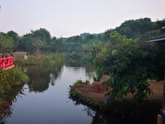 -丹樱生态园
