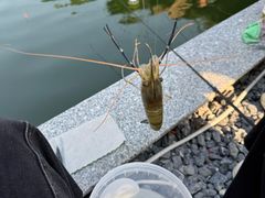 -DGE季风钓虾营地·团建·聚会