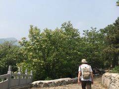 -阳台山自然风景区