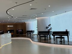 -雅马哈乐器专卖店(广州旗舰店)
