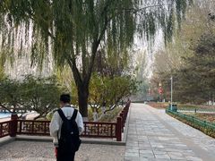 -燕郊植物园