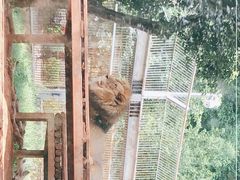 -昆明动物园
