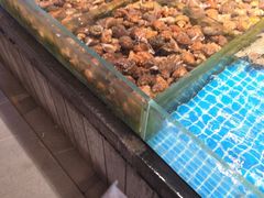 -连鹭海鲜·海肠捞饭·海胆饭(星海店)