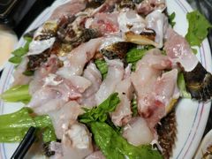 -金砂阿洲鱼册店