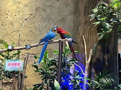 -杭州开元森泊度假乐园