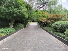 -习家池