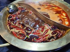 -锅说大脸毛肚重庆老火锅(佐阾店)