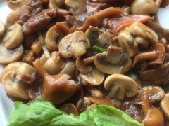 -天目湖涵田半山温泉