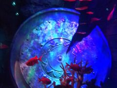 -沈阳海洋探索中心