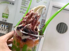 莎奴姆-Salud撒露欧洲冻酸奶(蓝色港湾店)