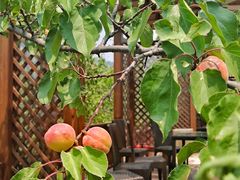 -潭柘厚院(桑峪村店)