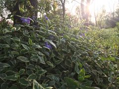 -南翔镇银翔湖公园