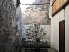 -月栖华明-云间草堂清茶馆(泗泾古镇店)