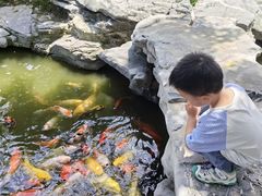 -扬州瘦西湖温泉