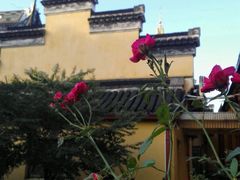 -常州天宁禅寺