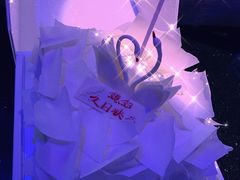 -BLACKSWAN黑天鹅(环球店)