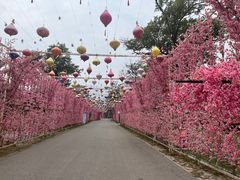 -北京凤凰岭