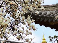 -龙华寺