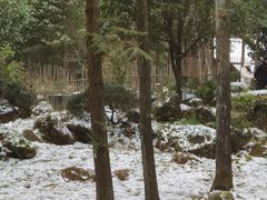 -姑婆山旅游区