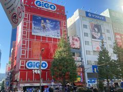 -秋叶原电器街