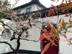 -东山雕花楼