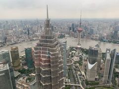-上海柏悦酒店·世纪100牛排馆