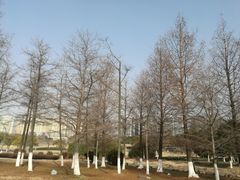 -白塘生态植物园