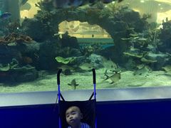 -常州海昌海洋探索馆