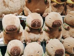 -TheGreenParty(槐房万达店)