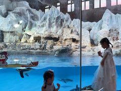 -帝企鹅自助餐厅•儿童岛•真企鹅(长隆企鹅酒店)